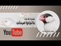 طفرة الاغات بالجاوا فينش