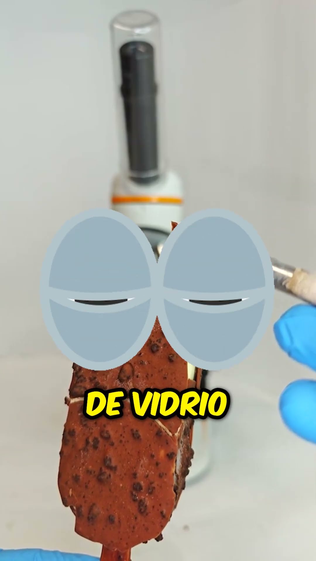 ¡Helado bajo el microscopio! ??