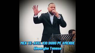 Gheorghe Tanase - MEK TE AVEL KIO DUHO PE AMEADE / Live 2023