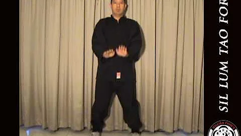 Sifu William Fong  Sil Nim Tao Form