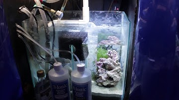 [36] Miracle Mud Installed - EcoSystem Method