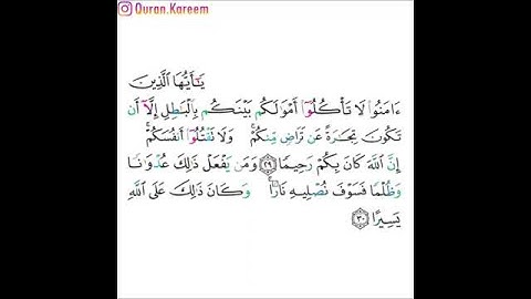 القارئ خالد الجليل - سورة النساء - من الآية 29 إلى الآية 30