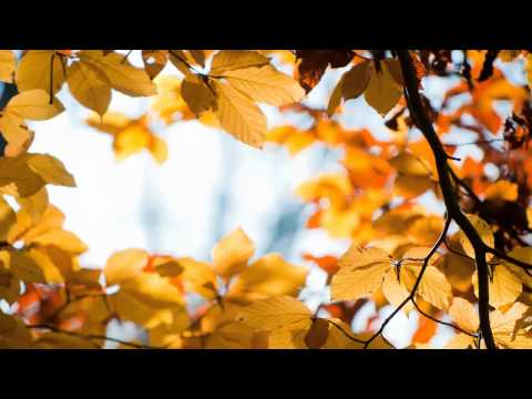 Bell Biv DeVoe - I Do Need You (Intelligent Manners Bootleg) (Free)