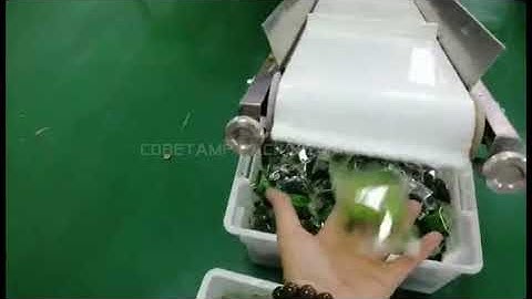 ZV-380 Raisins-Z type material conveyor+4 heads linear weigher