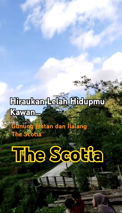 The Scotia - Gunung Hutan dan Ilalang. #thescotia #baradopio #gununghutandanilalang