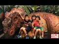 横浜恐竜展2017 Yokohama Dinosaurs Exhibition の動画、YouTube動画。