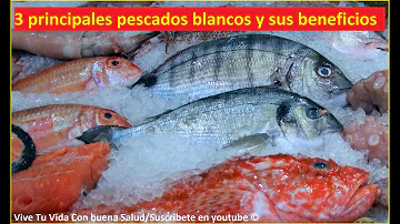 ¿Cuál es un buen pescado blanco firme?