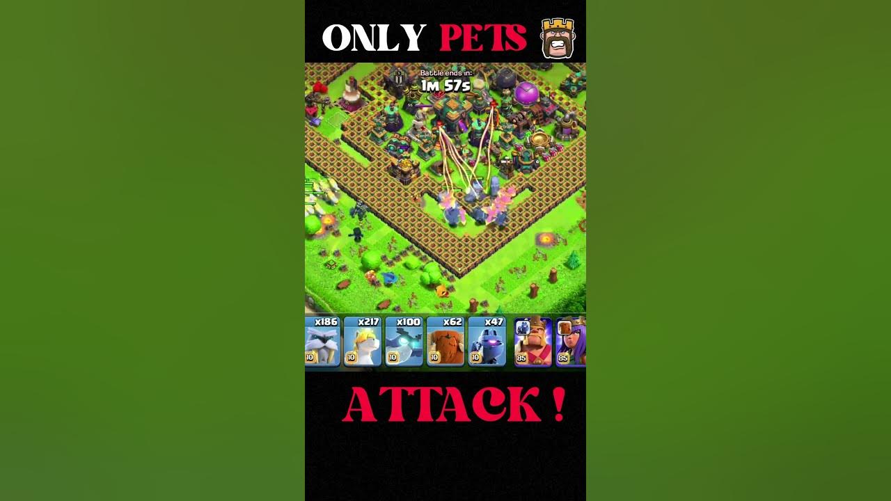 ONLY PETS ATTACK clashofclans coc YouTube