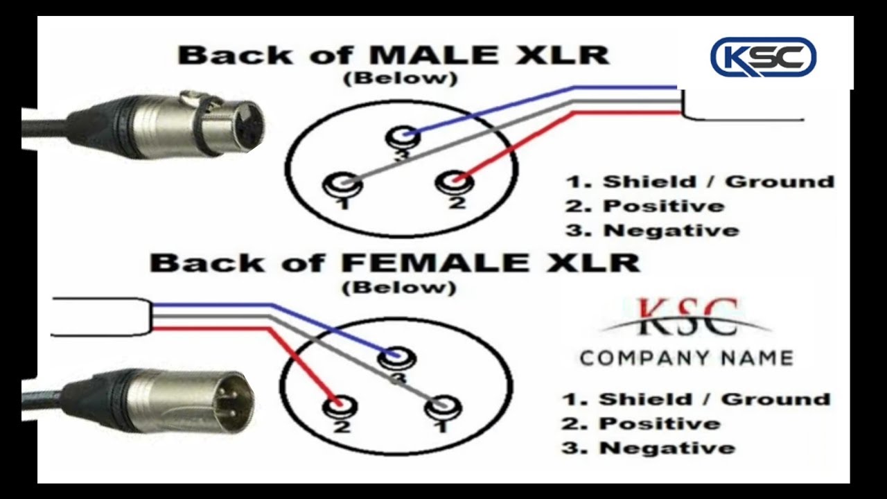 Connection XLR Male XLR to female XLR - YouTube