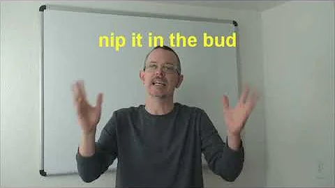 What does nip slang mean?