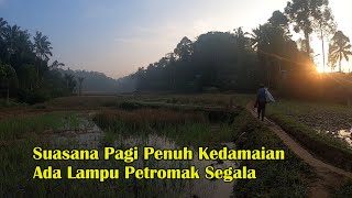 Download Lagu Suasana Malam Dengan Lampu Petromak, Sambut Pagi Penuh Kedamaian ll Rural Indonesia ll MP3