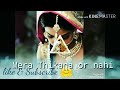 Whtsaap Status 😍😘 Whatsapp Status Video Download Free