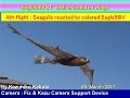 Large Eagle58iV with Stabilizer : 4th Test Flight :Seagulls reacted to colored Eagle58iV.