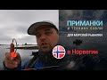 Приманки для морской рыбалки, техника ловли. Как и на что ловить в море? Рыбалка в Норвегии