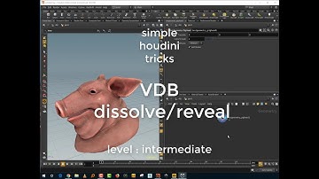 Simple Houdini tricks -  VDB fade/reveal