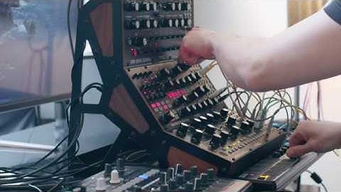Moog Subharmonicon live performance || once again