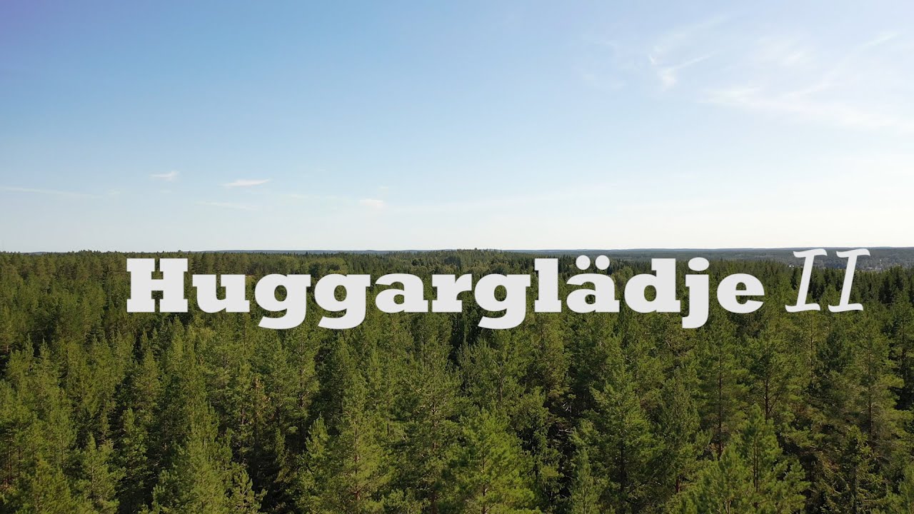 Huggarglädje II