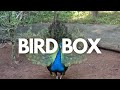 The largest bird park in Africa. World of Birds Wildlife Sanctuary (TOTALLY AWESOME!)