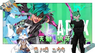 【APEX/新人Vtuber】突発APEXコラボ！！！　ランクいくらしいのだぁ？！