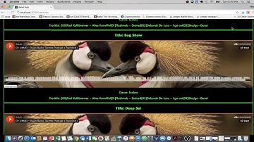 Rails API // React / Redux Client Application