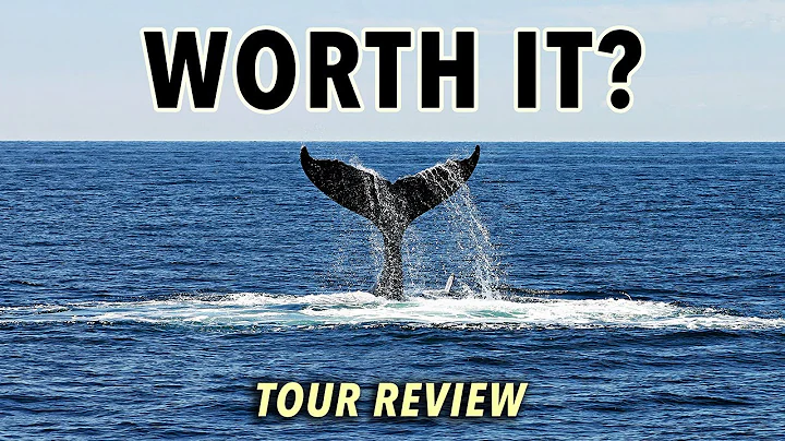 Whale Watching in Monterey, CA: Worth It? (Honest Tour Review) thumbnail