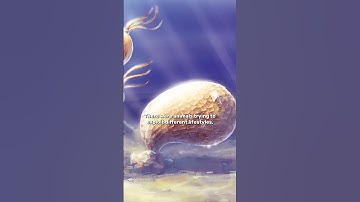 Life During The Ordovician Mass Extinction