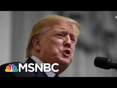 Tyranny Expert: Like Past Authoritarians, The Truth Doesn't Matter To Trump | The 11th Hour | MSNBC