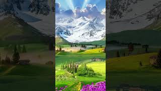 Relaxing Video Meditation Hub