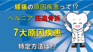 腰椎椎間板ヘルニア⁉腰椎圧迫骨折⁉ 7大原因疾患は⁉ 特定方法を解説 【医師が解説】