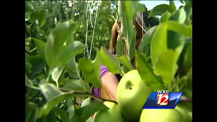 Celebrate Wilkes County: Perry Lowe Orchards is Wi...