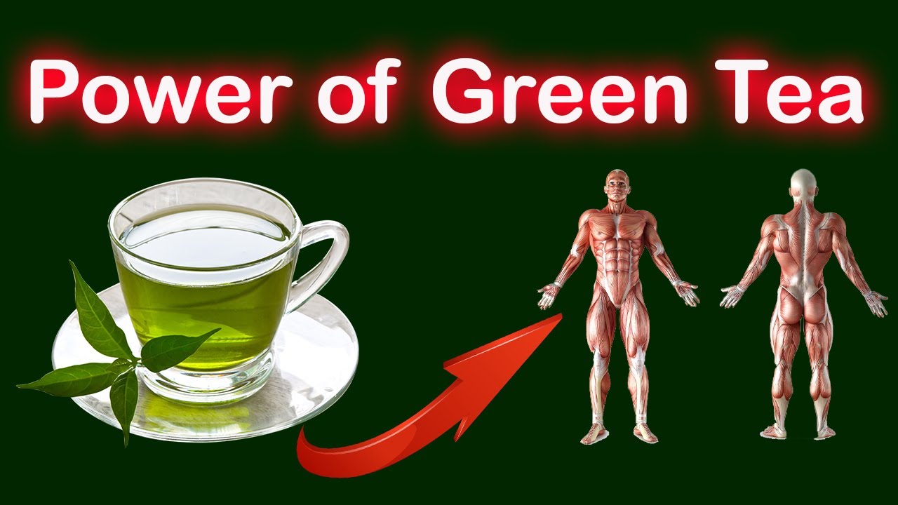 Unlocking the Power of Green Tea: 7 Health Benefits and How to Drink it ...