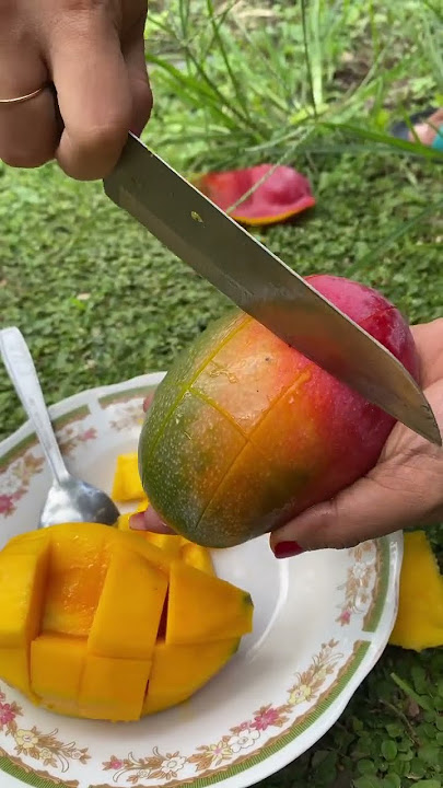 Miyazaki Mango From Indonesia #mangofruit