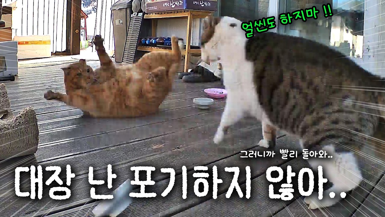 그날 이후 모든 것이 달라졌다.