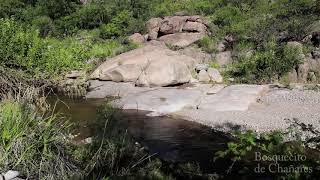 Cabañas Bosquecito de Chañares. El Río!!