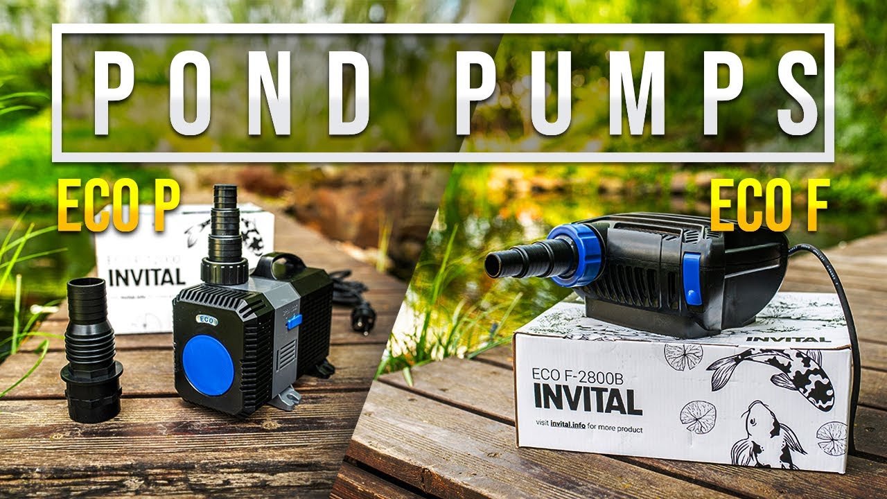 Energy-efficient pond pumps INVITAL ECO