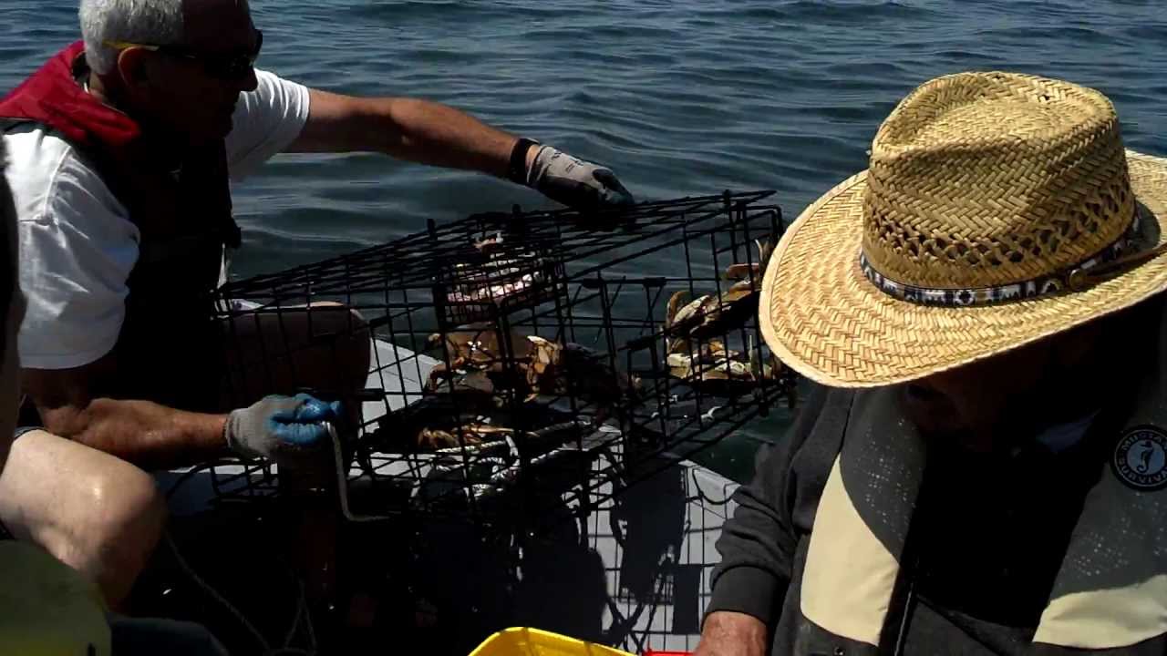 July 1st crabbing. Pulling up crab pot. Camano YouTube