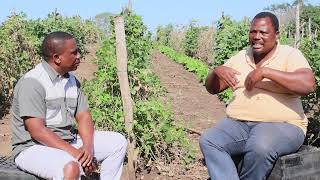 Download Lagu Impilo Yomlimi: Sikhuluma Ngempilo ka Dan Mbatha Kwezolimo. MP3