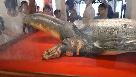 Hồ hoàn kiếm và đền ngọc sơn, điểm du lịch thu hút  du khách trong nước và quốc tế tại hà nội