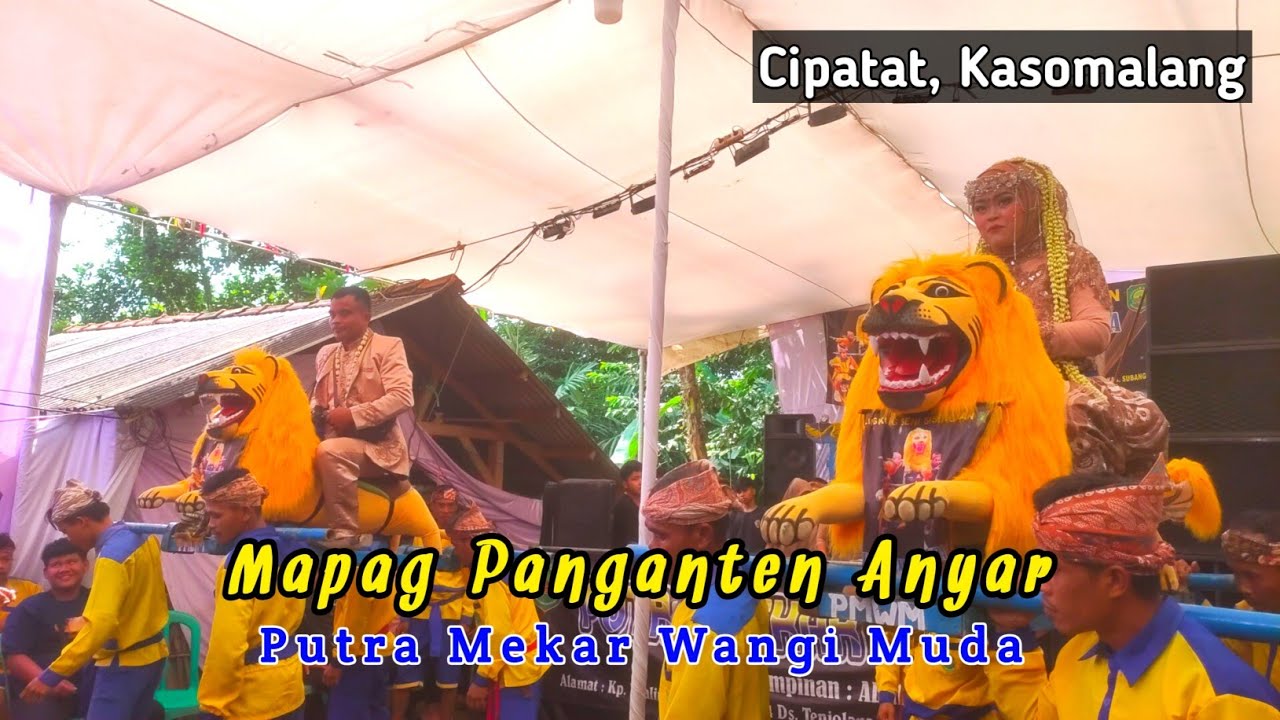 MAPAG PANGANTEN ANYAR LINGKUNG SENI SISINGAAN PUTRA MEKAR WANGI MUDA II CIPATAT, KASOMALANG