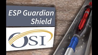 ESP Guardian Shield ™
