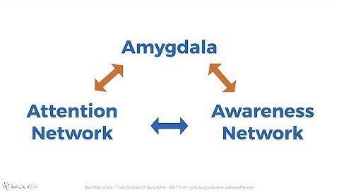 Brain & Mind #2 - Emotions, Stress and Trauma: Emotional stimuli, timelines, attention and awareness
