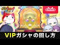 ぷにぷに 「コラボに備えろ！」VIPガシャの回し方【妖怪ウォッチぷにぷに】【葬送のフリーレン】10周年イベント part45