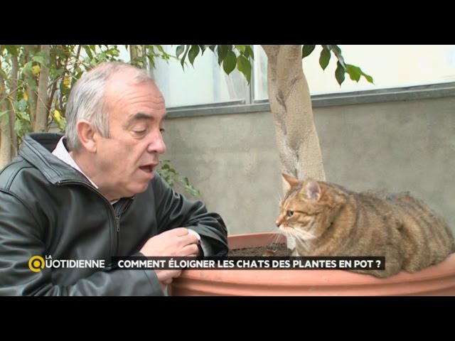 Eloigner Les Animaux Du Jardin Youtube