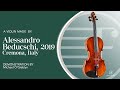 Alessandro beducschi cremona 2019 violin at fiddlershop