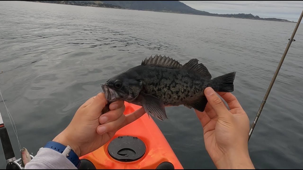 CARMELBYTHESEA CA KAYAK FISHING FT DOLPHINS YouTube