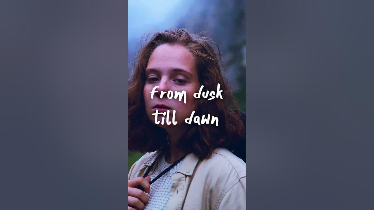 ZAYN - Dusk Till Dawn (Lyrics) but you'll never be alone