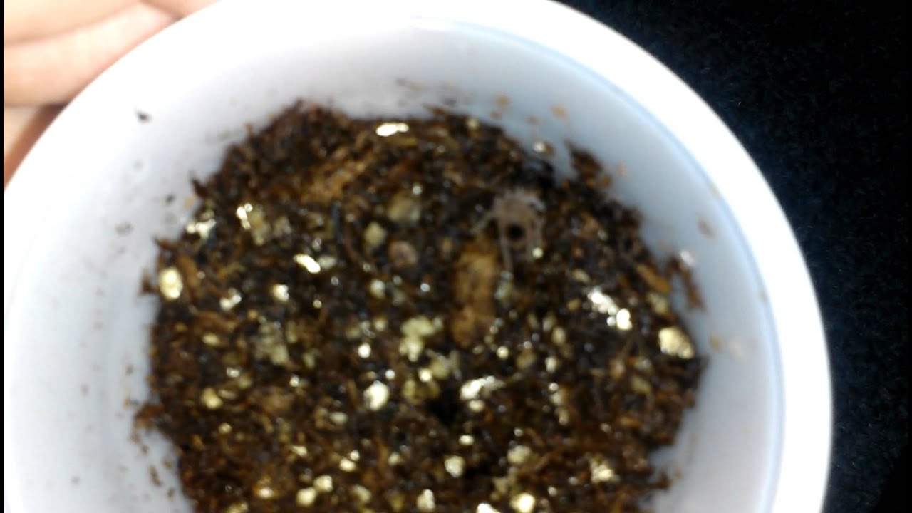 2014 San Diego reptile expo pick ups - YouTube