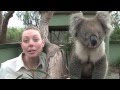 Bunyip tours melbourne victoria australia