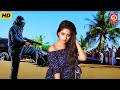 Anu Emmanuel | Telugu Hindi Dubbed Romantic Action Movie | Sirifirein Lootere | New Love Story Movie