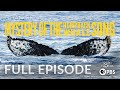 Mystery of the Humpback Whale Song - Full Episode